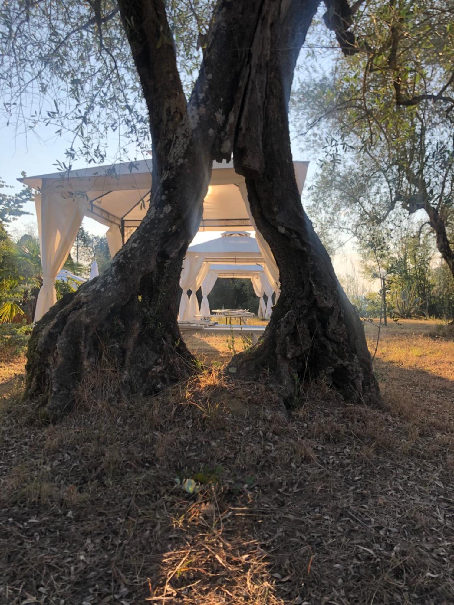 Вилла La Casa D'Ambra Torre A Castello Экстерьер фото